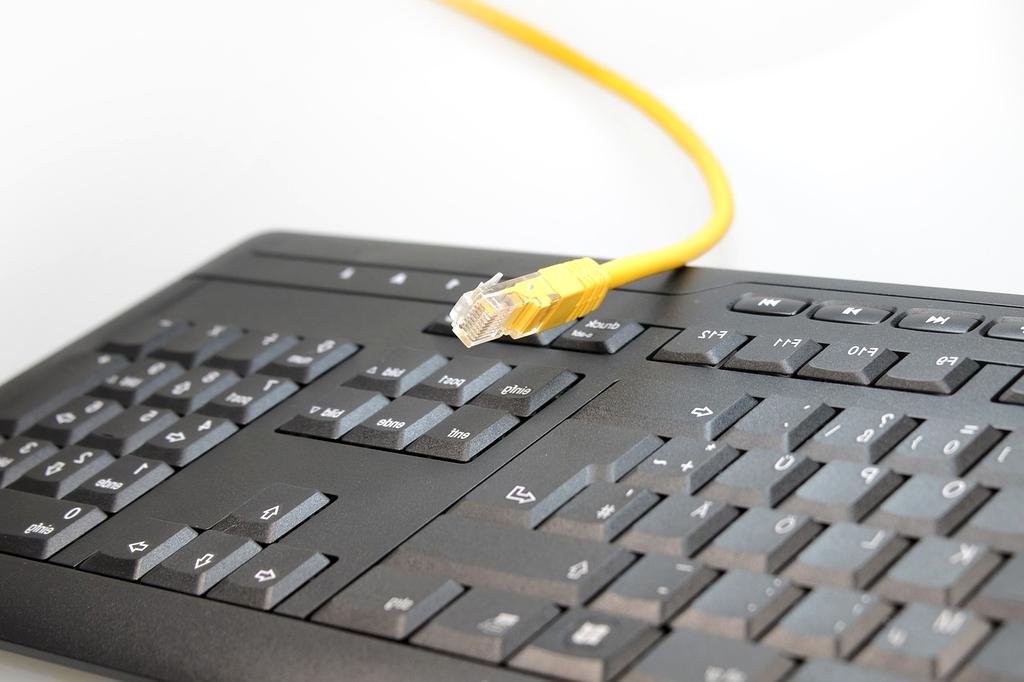 Patch management icon